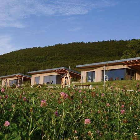 Villa An Webers Stoag Geisingen Esterno foto