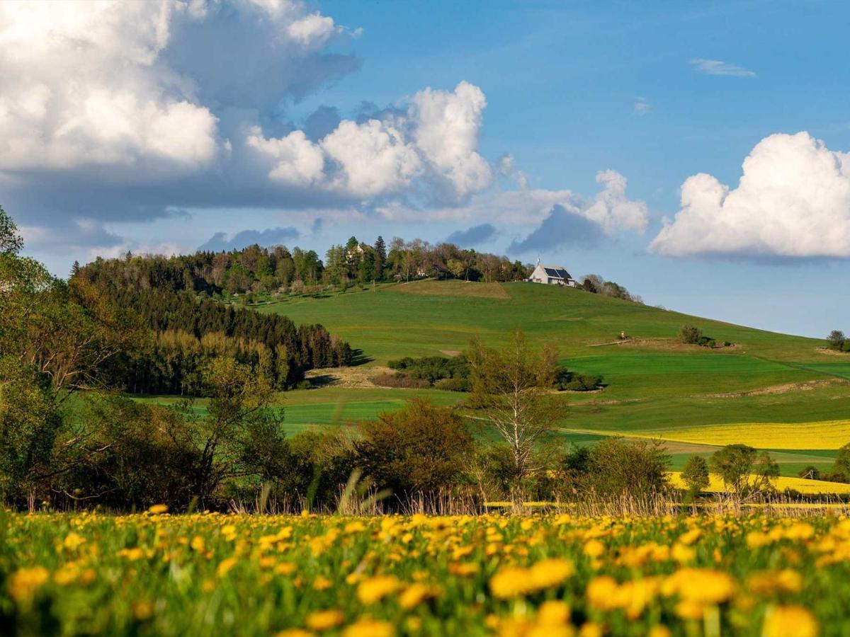Villa An Webers Stoag Geisingen Esterno foto