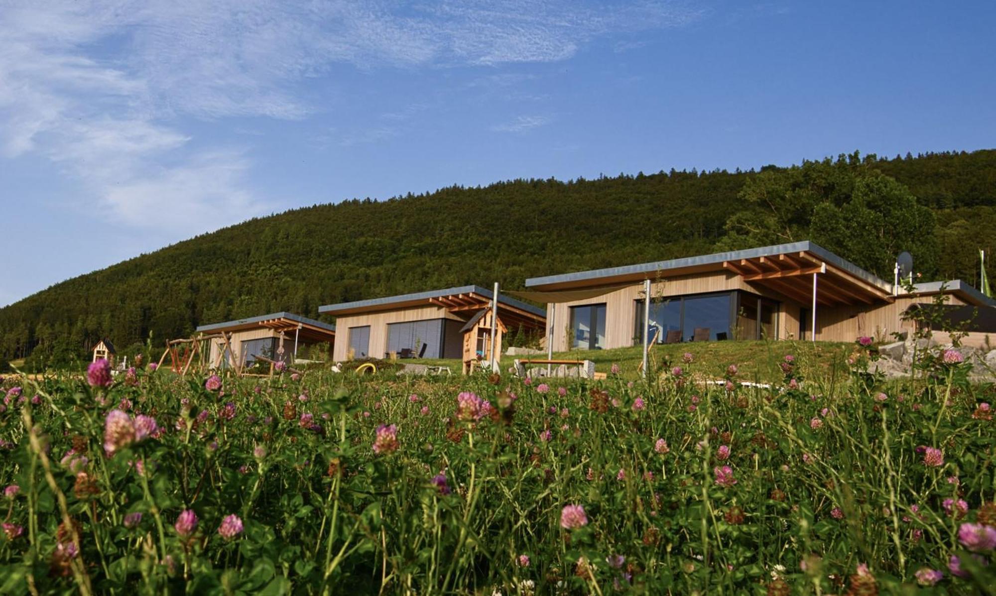 Villa An Webers Stoag Geisingen Esterno foto